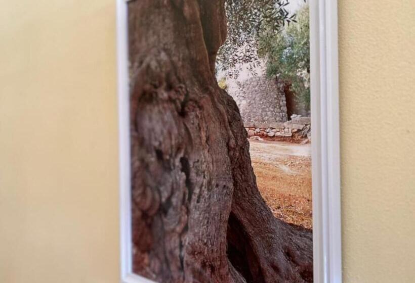 בית מלון כפרי Costa D Oro