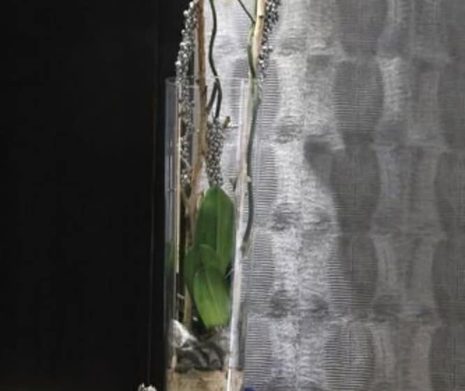 Отель The Originals Du Grand Monarque Nantes Gare