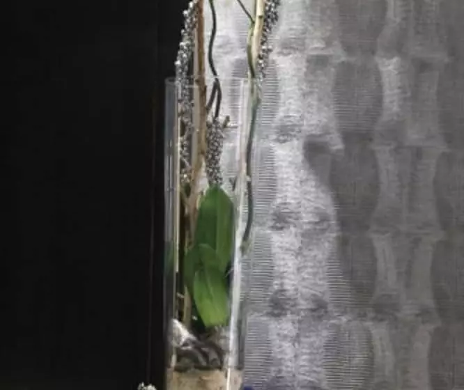 هتل The Originals Du Grand Monarque Nantes Gare