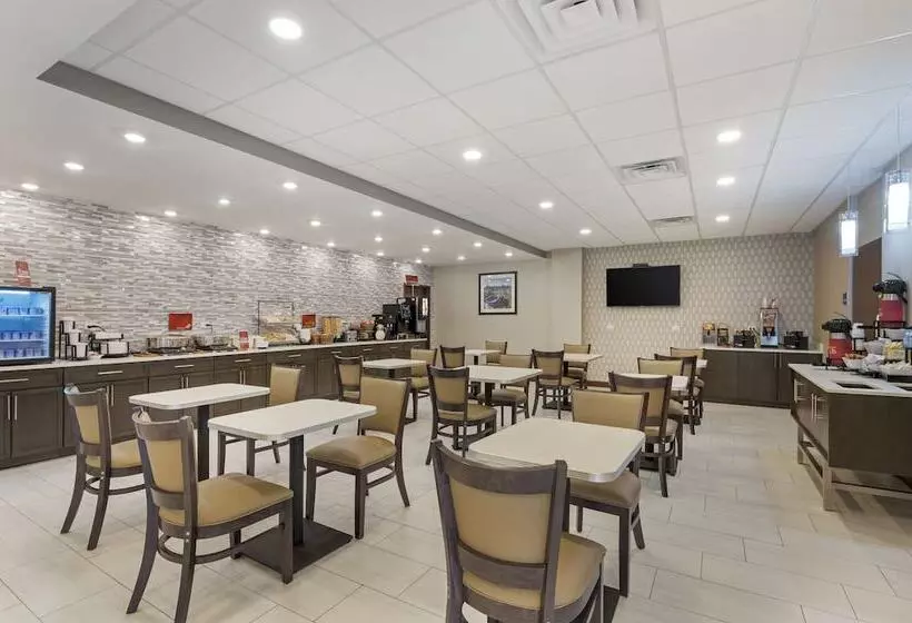 ホテル Best Western Plus South Holland Chicago Southland