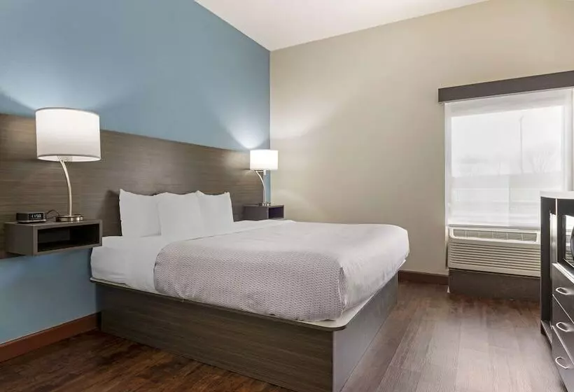 ホテル Best Western Plus South Holland Chicago Southland