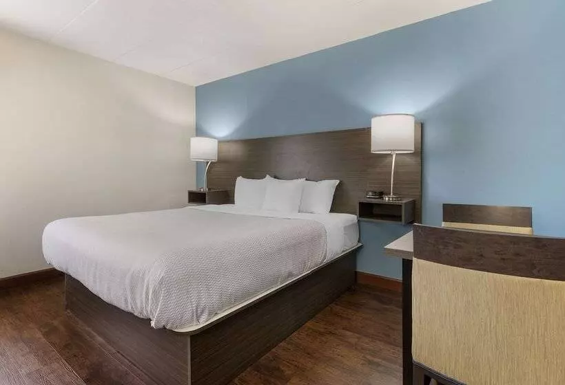 ホテル Best Western Plus South Holland Chicago Southland