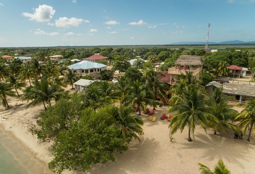 فندق Buttonwood Belize