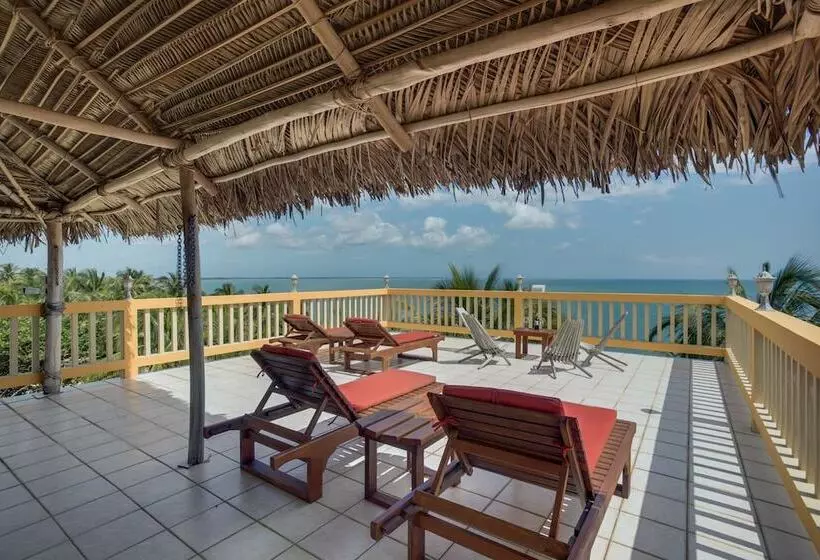 Hotelli Buttonwood Belize