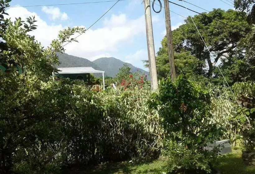 Hotelli Niyati   Hostel