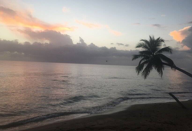 هتل Yukayeke Playa Resort