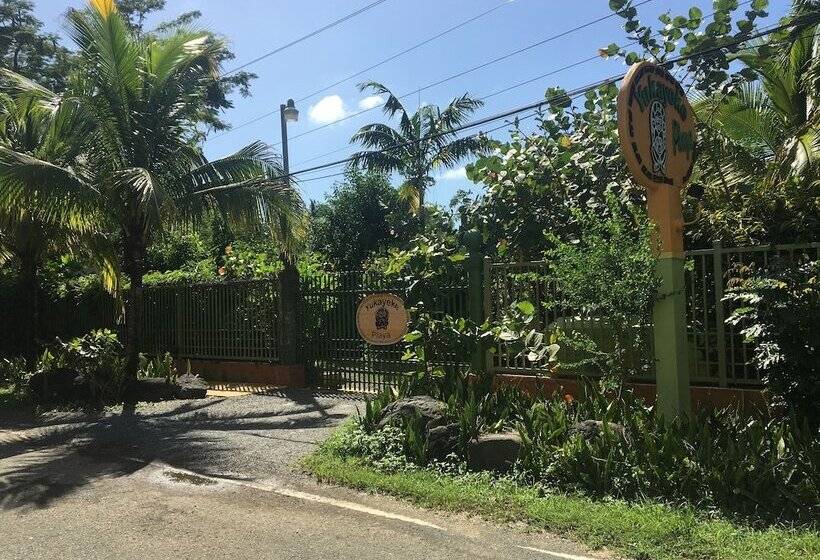 هتل Yukayeke Playa Resort