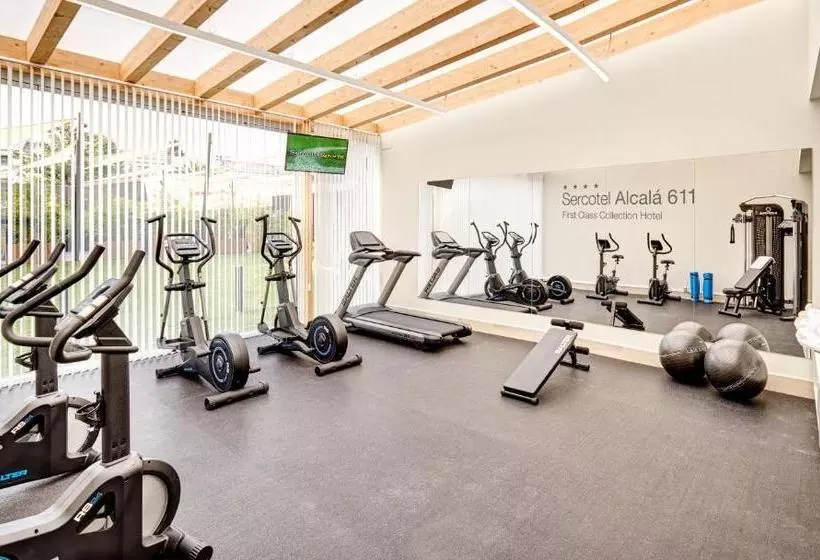 Sercotel Alcalá 611 