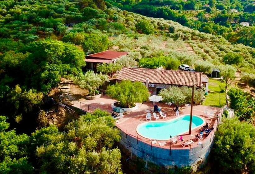 Villa Alessandra Residence