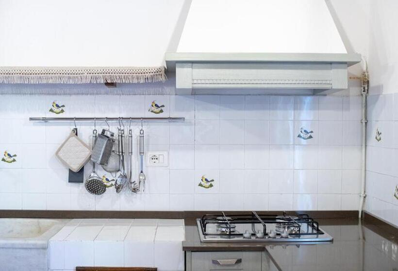 호텔 Agriturismo Poggio Nardini