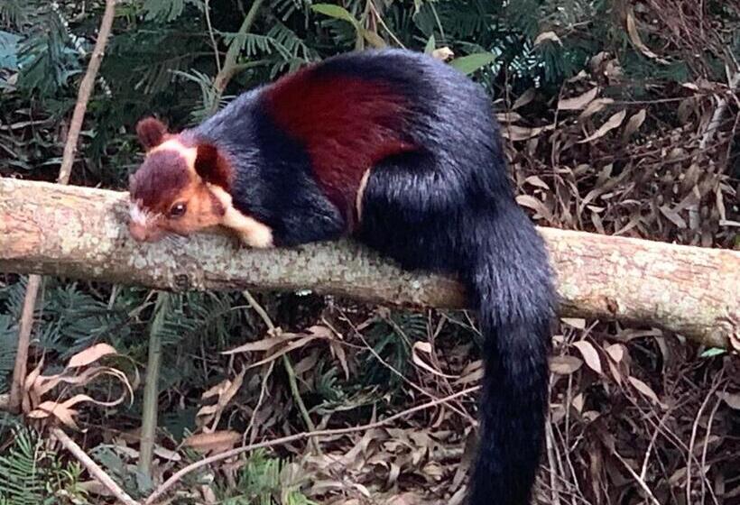 ホテル Bogar Palace Kodaikanal
