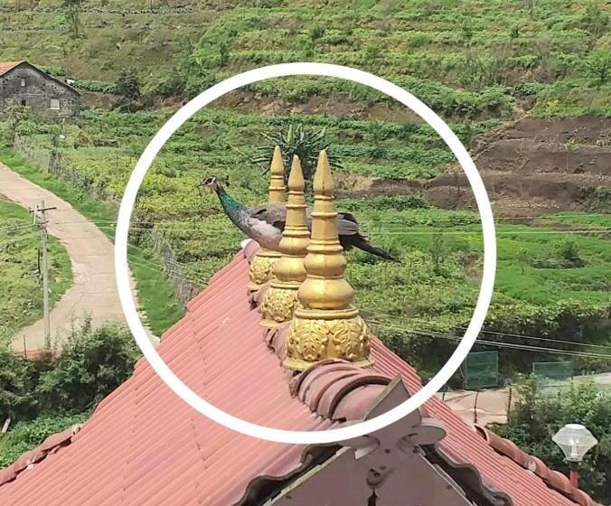 ホテル Bogar Palace Kodaikanal