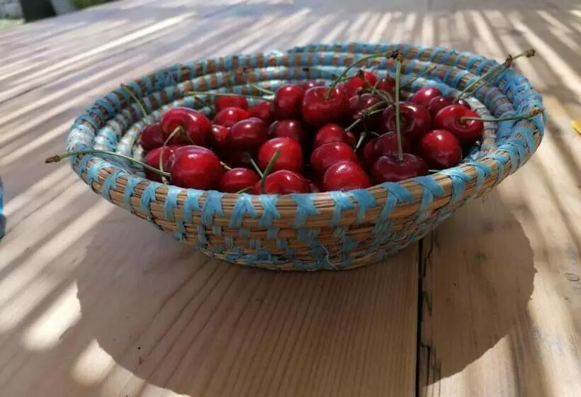 ホテル Masseria La Gatta Matta