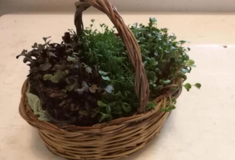 בית מלון כפרי Masseria La Gatta Matta