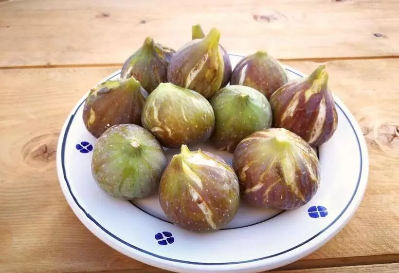 ホテル Masseria La Gatta Matta