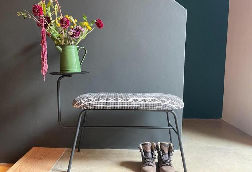 بنسيون Lekkerberg