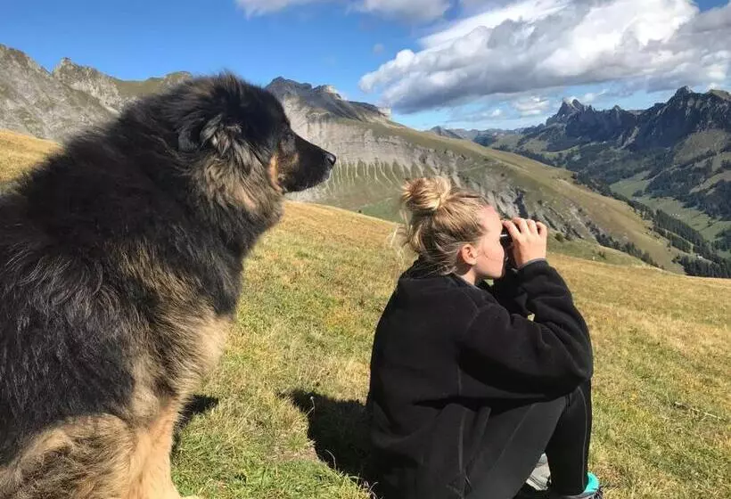 ベッドアンドブレックファースト Au Pré Des Chevaux