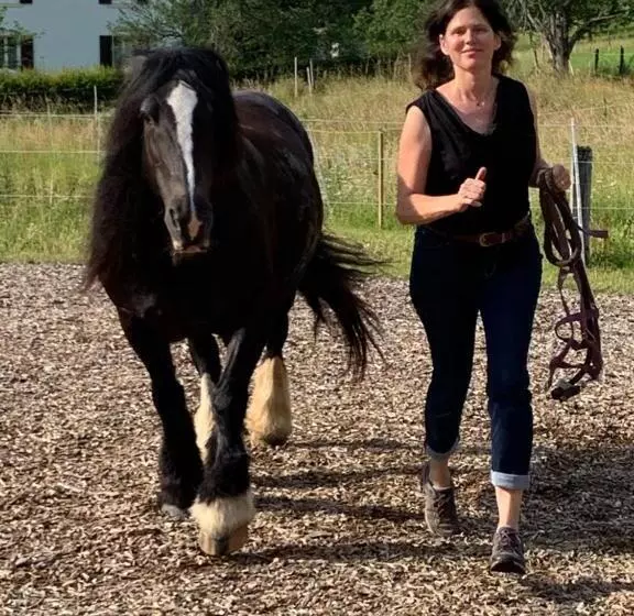 ベッドアンドブレックファースト Au Pré Des Chevaux