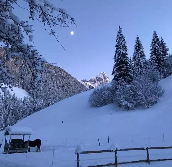 ベッドアンドブレックファースト Au Pré Des Chevaux