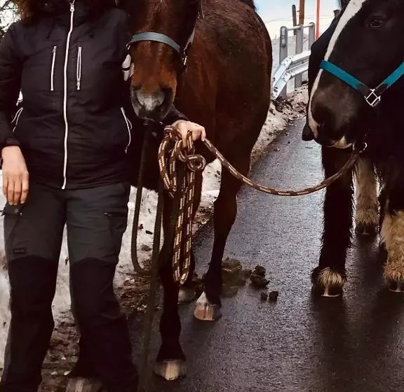 ベッドアンドブレックファースト Au Pré Des Chevaux