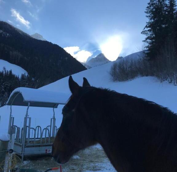 تختخواب و صبحانه Au Pré Des Chevaux