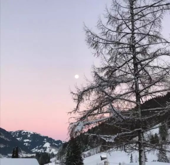 ベッドアンドブレックファースト Au Pré Des Chevaux