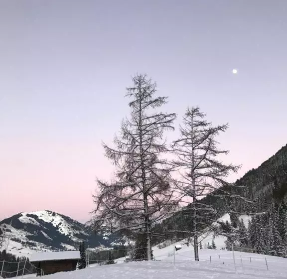 ベッドアンドブレックファースト Au Pré Des Chevaux