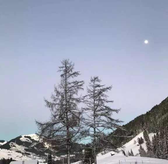 ベッドアンドブレックファースト Au Pré Des Chevaux