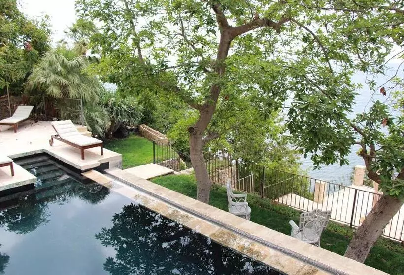 تختخواب و صبحانه El Jardin Botánico Villa Luz