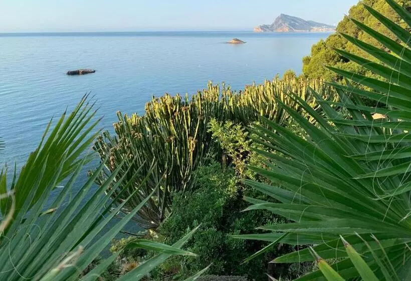 تختخواب و صبحانه El Jardin Botánico Villa Luz