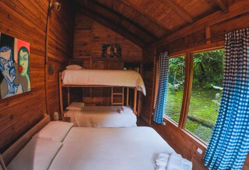 Hotel El Abrazo Del Arbol