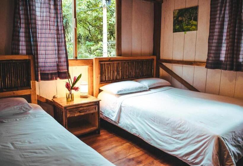 Hotel El Abrazo Del Arbol