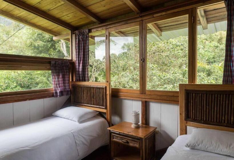 Hotel El Abrazo Del Arbol