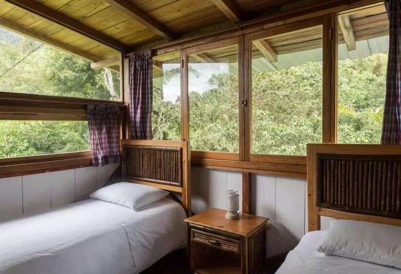 Hotelli El Abrazo Del Arbol