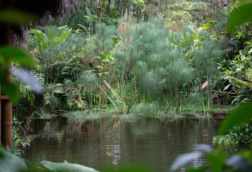 Hotelli El Abrazo Del Arbol