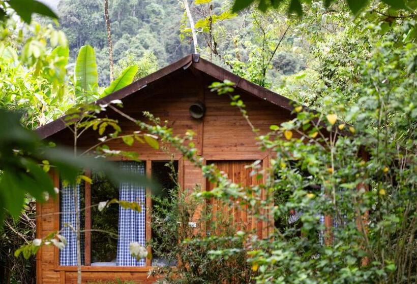 Hotel El Abrazo Del Arbol