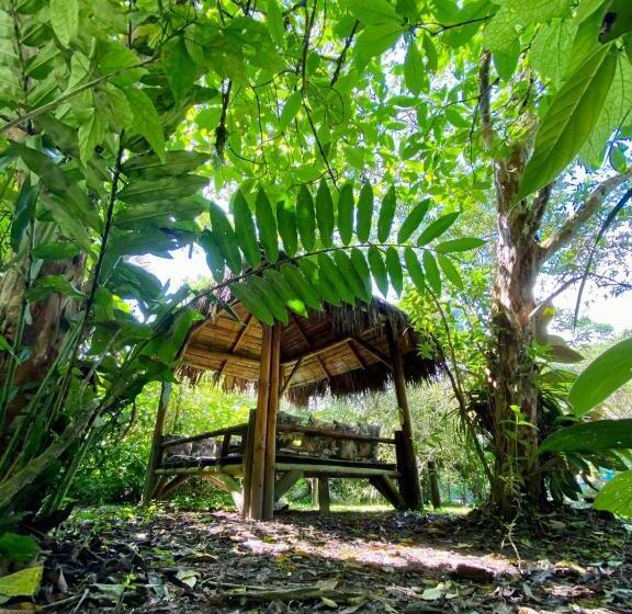 Hotel El Abrazo Del Arbol