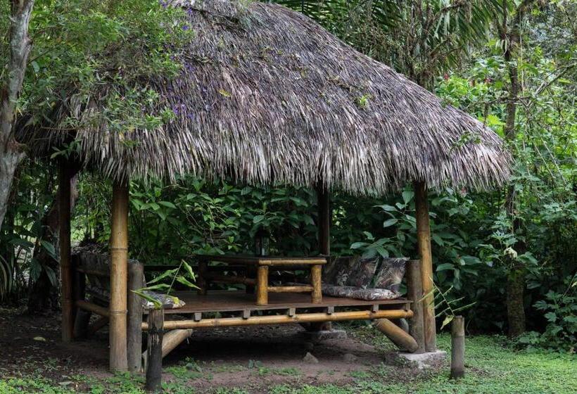 Hotel El Abrazo Del Arbol