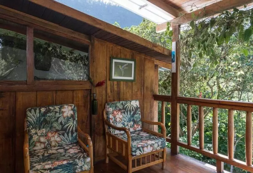 Hotelli El Abrazo Del Arbol