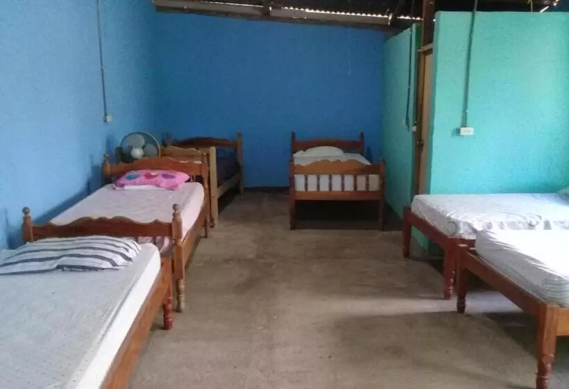 پانسیون Hostal Maria