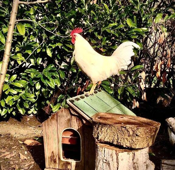 B&b Curva Della Palma