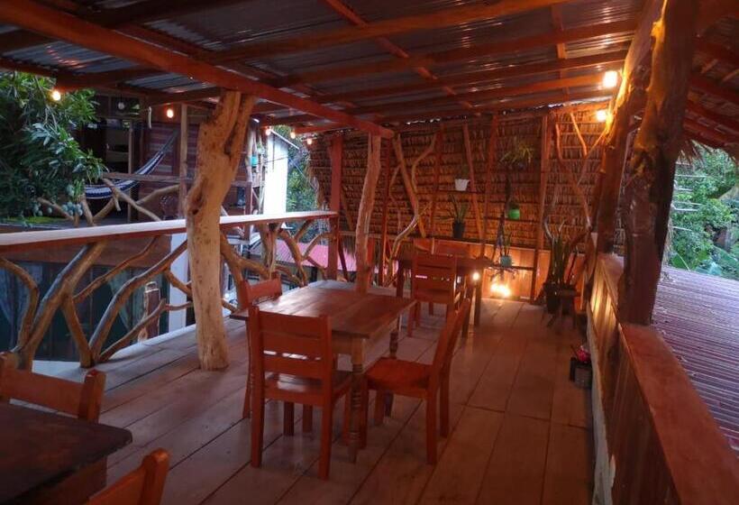 پانسیون Hostal Así Es Mi Tierra