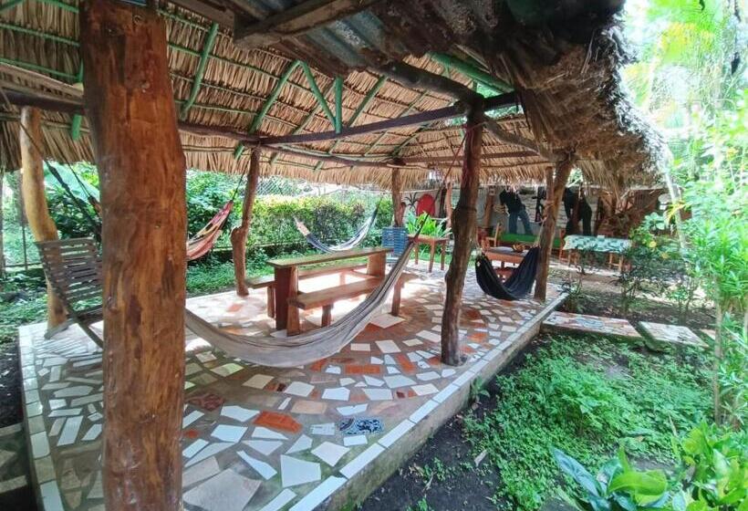 پانسیون Hostal Así Es Mi Tierra