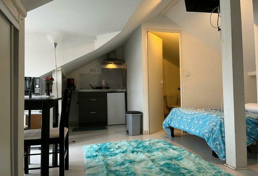 Пансион Studio Meublé Hypercentre