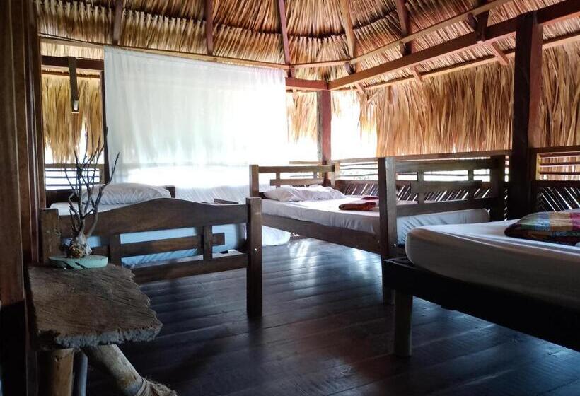 تختخواب و صبحانه Bonita Hostel