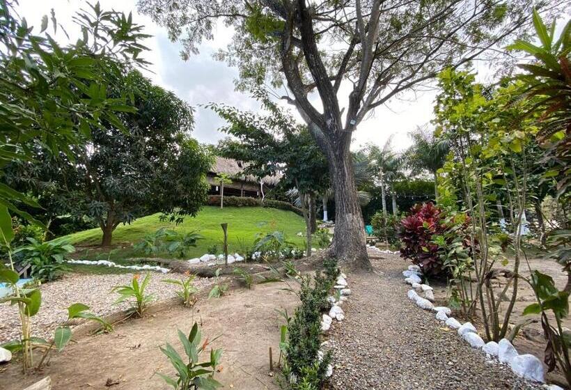 تختخواب و صبحانه Bonita Hostel