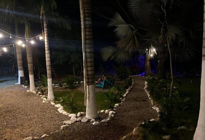 تختخواب و صبحانه Bonita Hostel