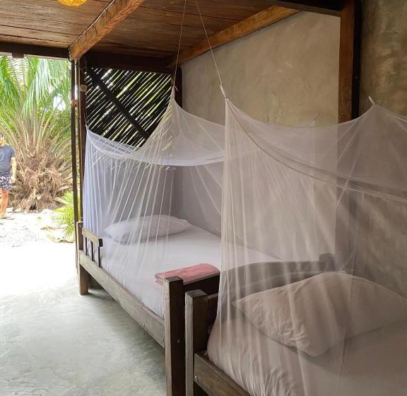 تختخواب و صبحانه Bonita Hostel