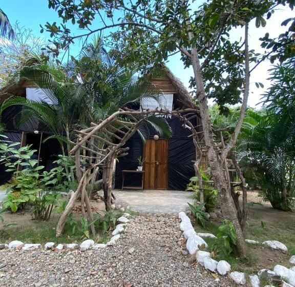 تختخواب و صبحانه Bonita Hostel