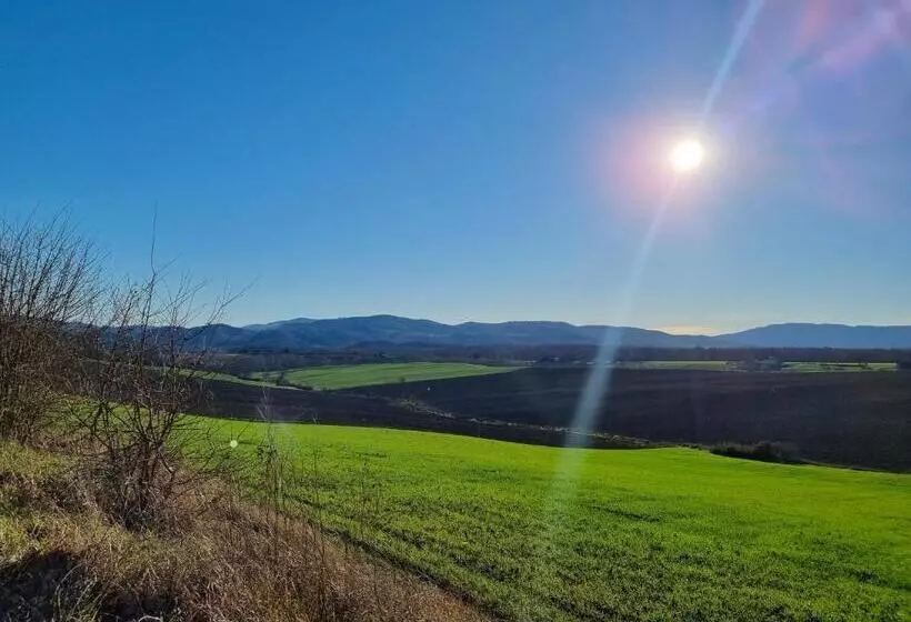 Aamiaismajoitus (B&B) Walkandrace